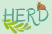 HERD